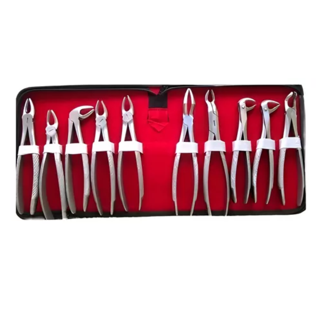 Kit Juego 10 Forceps + Estuche Importado 6B