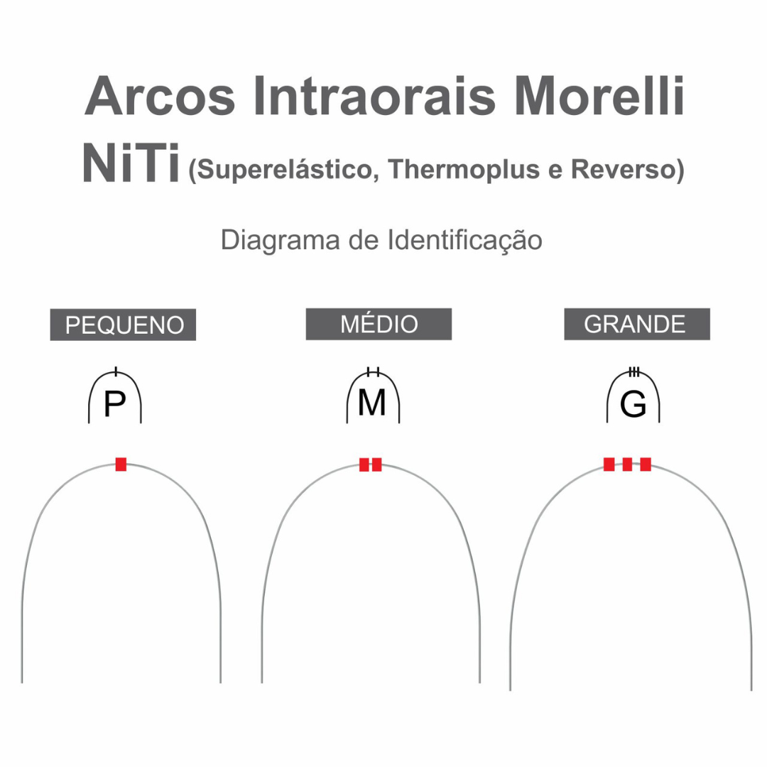 orthoea Arco Intraoral Estético Superelástico Grande Niti Redondo - Morelli